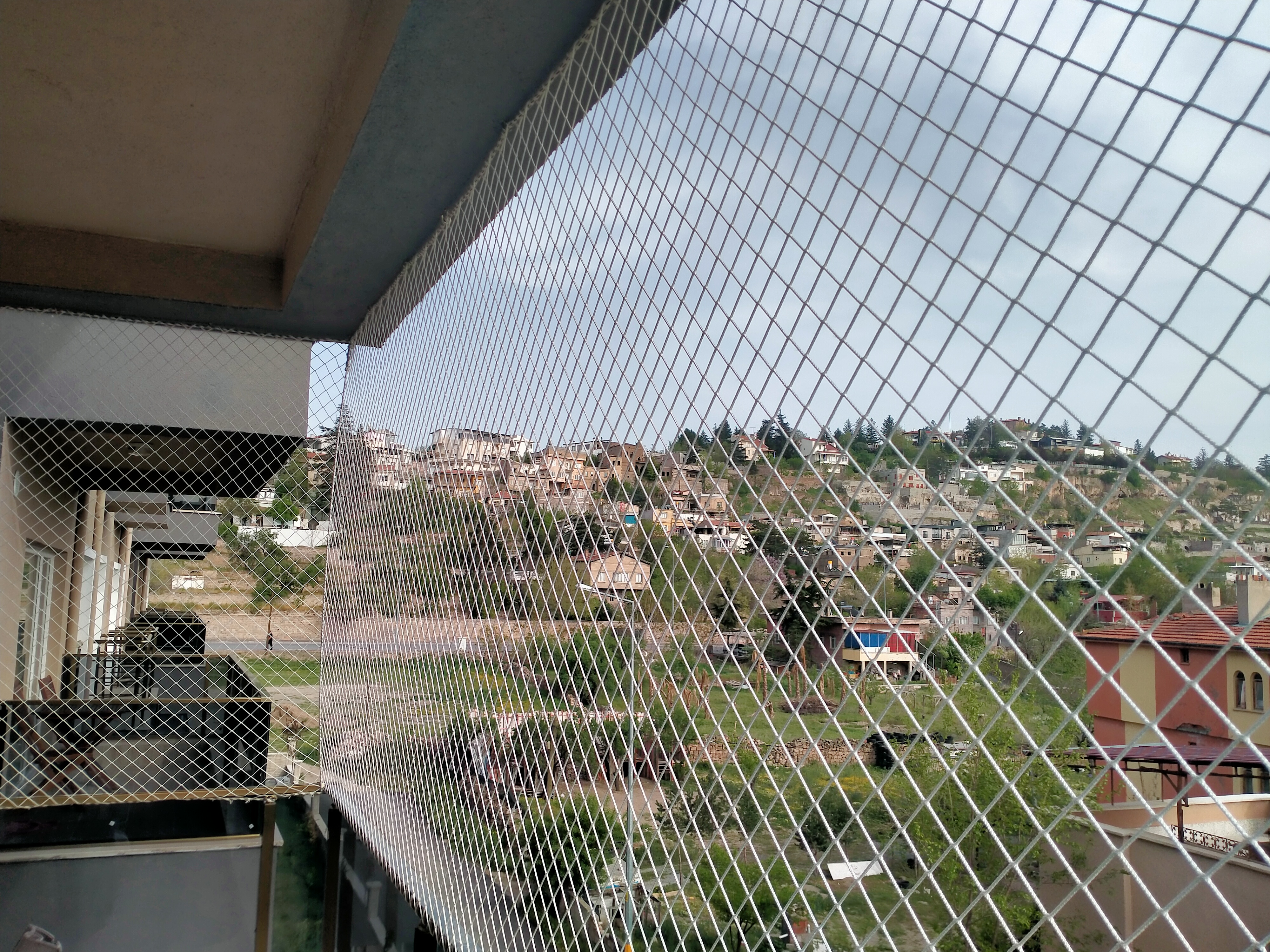 Kütahya Kedi Filesi